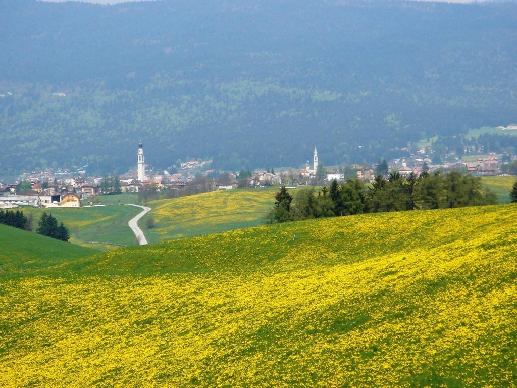 Hotel Da Barba B&B Asiago Eksteriør billede