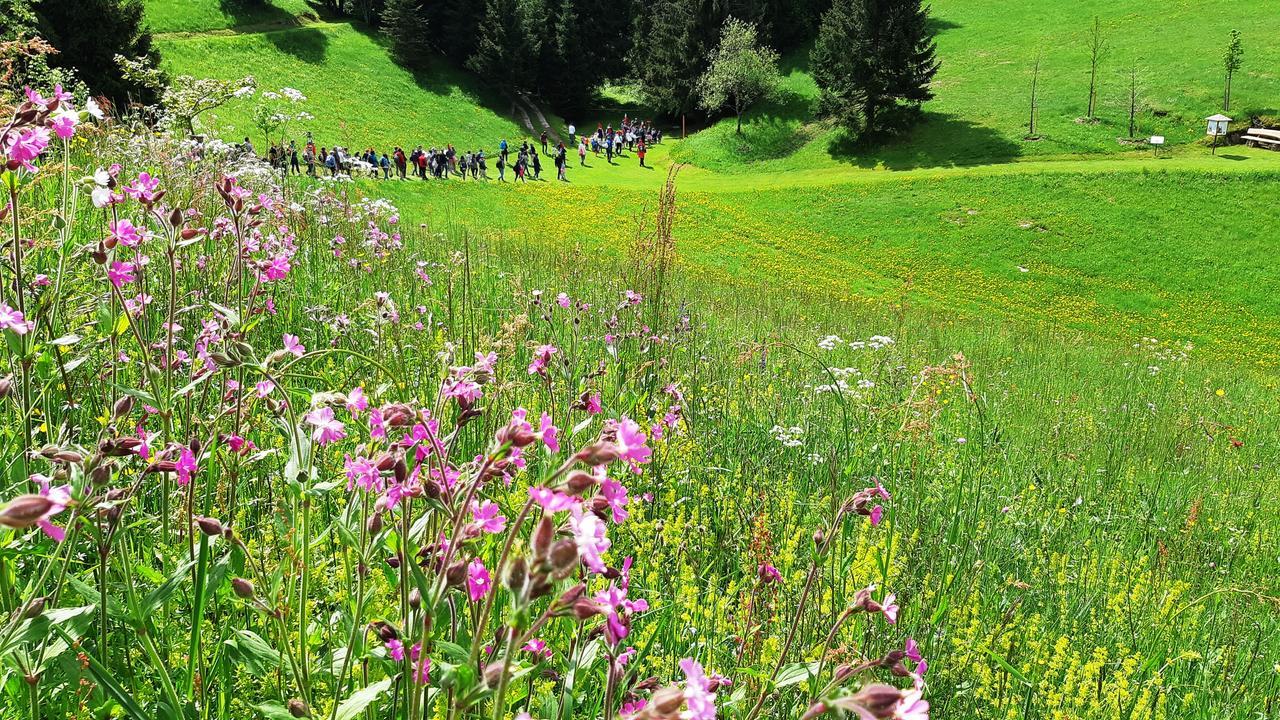 Hotel Da Barba B&B Asiago Eksteriør billede